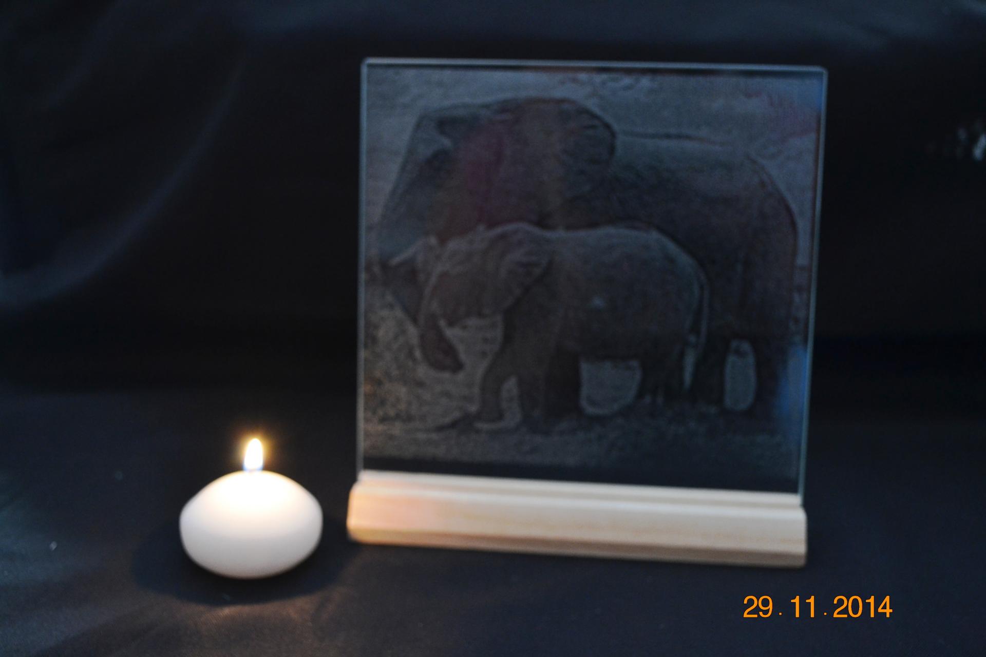 gravure elephants