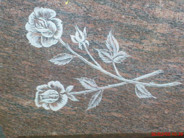 rose