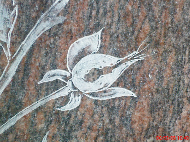 fleure