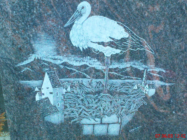 oiseaux