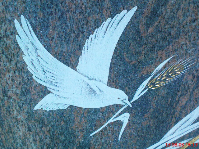 colombe